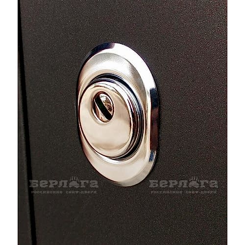 Сейф-дверь Берлога Тринити (ЧМ) Сенатор Ларче светлый